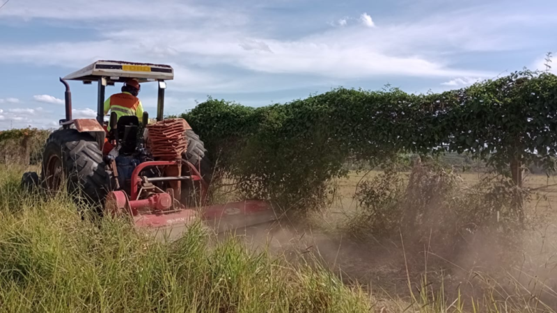 Equipes de conservação intensificam trabalho de manutenção de aceiros para evitar expansão de focos de incêndio