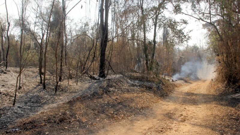 DEFESA CIVIL DE JAGUARIÚNA EMITE ALERTA SOBRE RISCO DE QUEIMADAS E CUIDADOS COM A SAÚDE DEVIDO AO TEMPO SECO