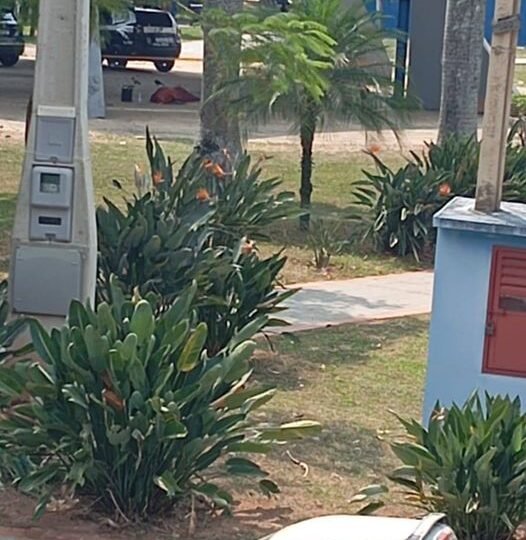 CORPO NA PRAÇA CENTRAL DE SERRA NEGRA , PRÓXIMO A RODOVIÁRIA ?