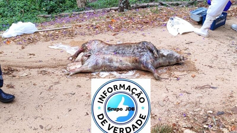 Capivara Morta Encontrada no Parque dos Lagos em Jaguariúna —– – – – – – – – – – – – – – – -Alerta População . – – – – – – – – – – – – – – – –