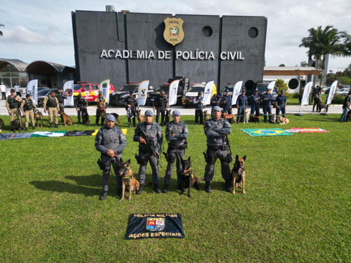 Canil da PM conquista 1º lugar geral em competição internacional de atuação com cães profissionais