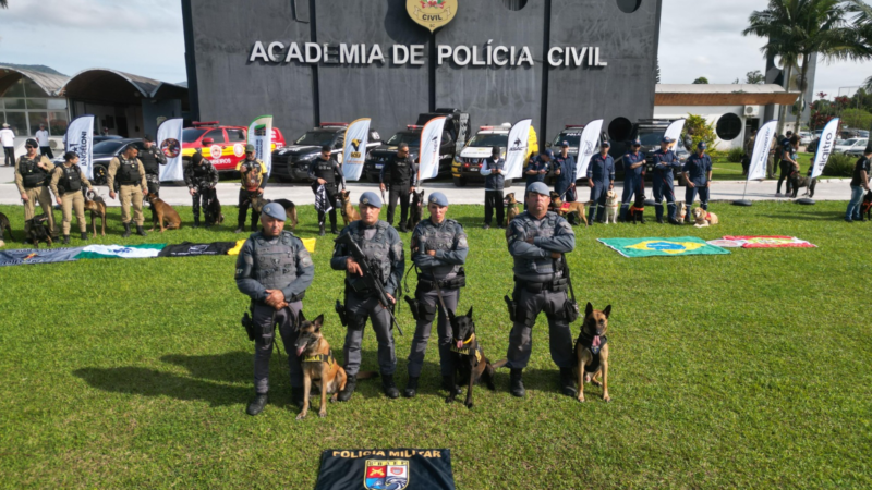 Canil da PM conquista 1º lugar geral em competição internacional de atuação com cães profissionais