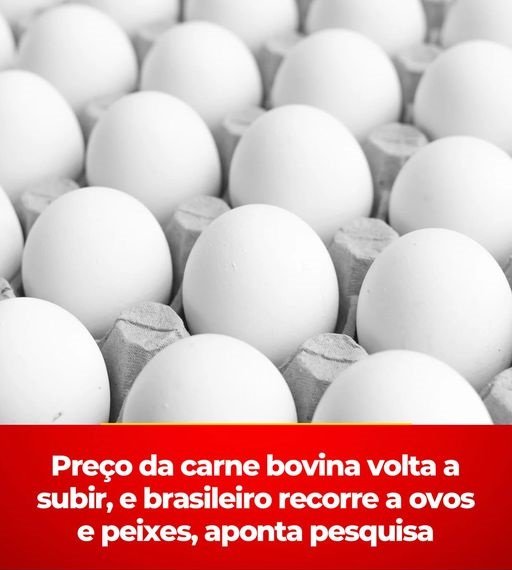 Aumento no Preço da Carne Impacta o Churrasco do Brasileiro e o Povo Recorre a Cartela de Ovos