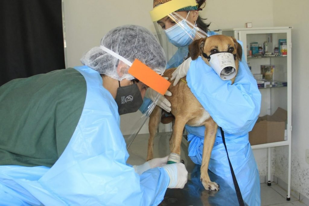 SAÚDE ANIMAL DE JAGUARIÚNA DIVULGA NOVOS HORÁRIOS DE ATENDIMENTO E CALENDÁRIO DO CASTRAMÓVEL