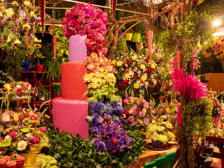 JÁ MONTOU SUA ÁRVORE DE NATAL? Mostra Jardins em Festa do Natal de Holambra by Expoflora traz opções diferentes e criativas para fugir do tradicional