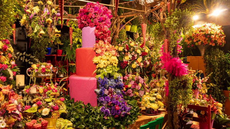 JÁ MONTOU SUA ÁRVORE DE NATAL? Mostra Jardins em Festa do Natal de Holambra by Expoflora traz opções diferentes e criativas para fugir do tradicional