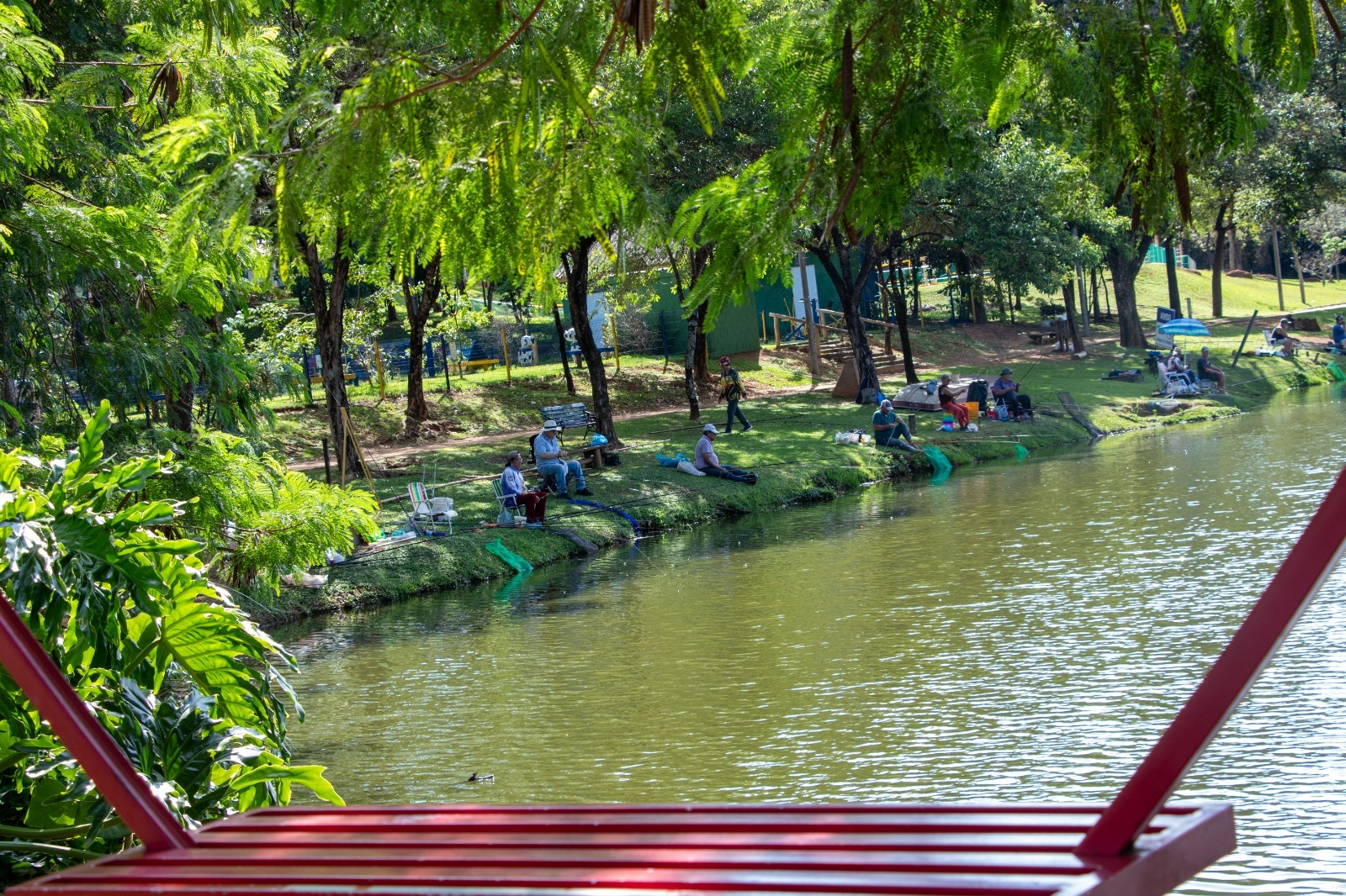 HOJE TEM PESCA LIBERADA NO PARQUE DOS LAGOS EM JAGUARIÚNA