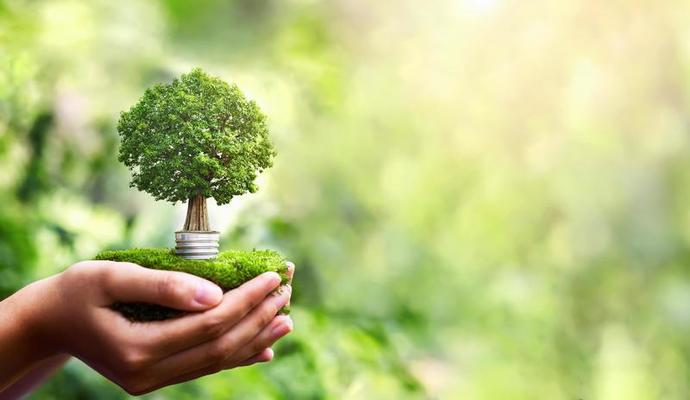 CAIXA abre credenciamento para empresas prestarem serviços voltados ao Mercado de Carbono