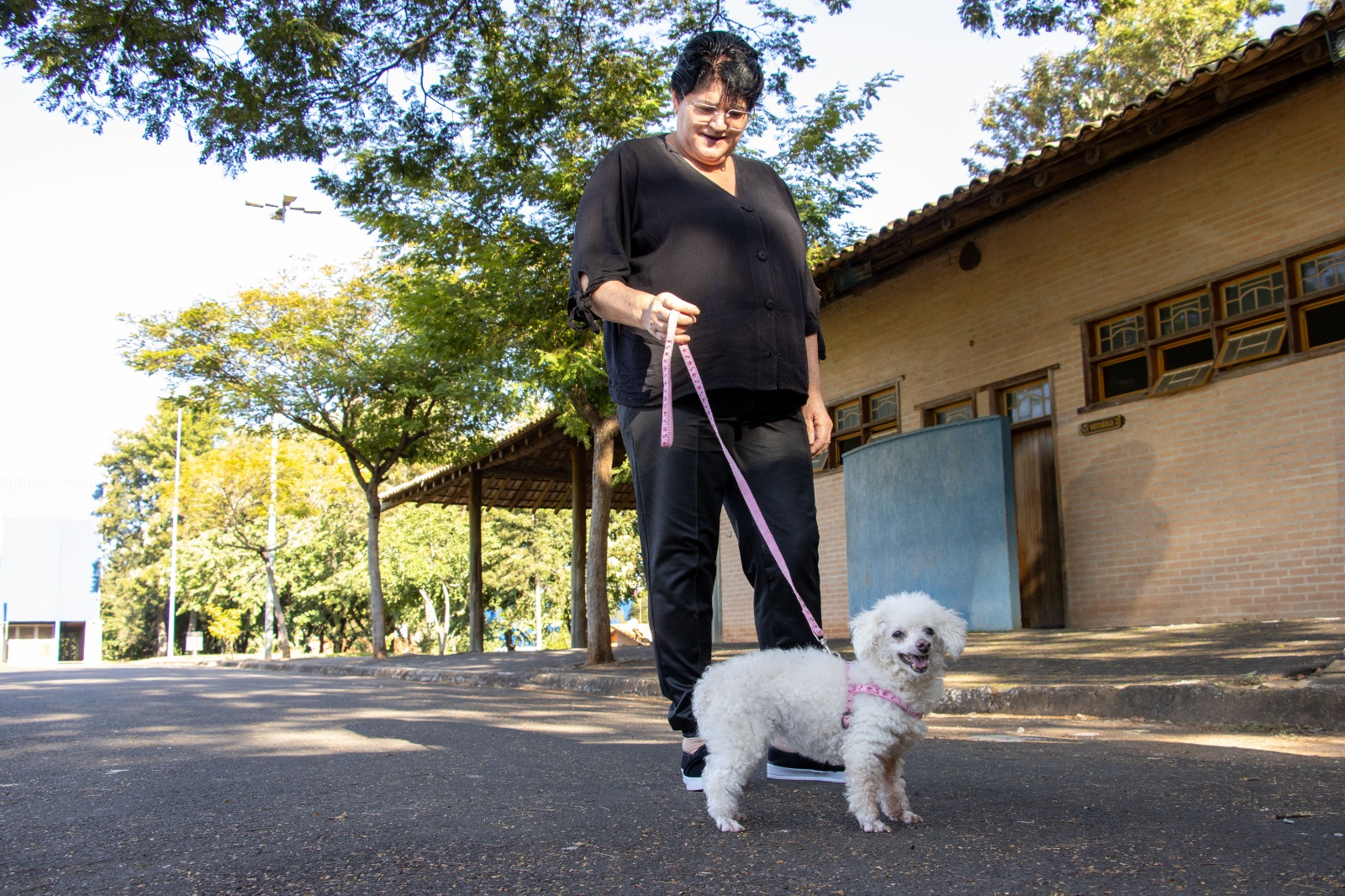POSTO VETERINÁRIO DE JAGUARIÚNA REFORÇA IMPORTÂNCIA DA GUARDA RESPONSÁVEL DE ANIMAIS