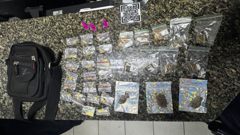 GCM de Jaguariúna apreende drogas abandonadas durante fuga em área de mata