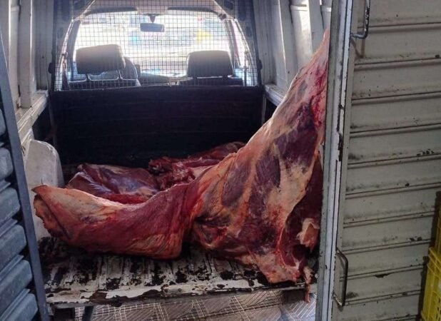 🚔 A CARNE NOSSA DE CADA DIA – Operação integrada fecha açougue e depósito de carnes em Serra Negra por irregularidades sanitárias