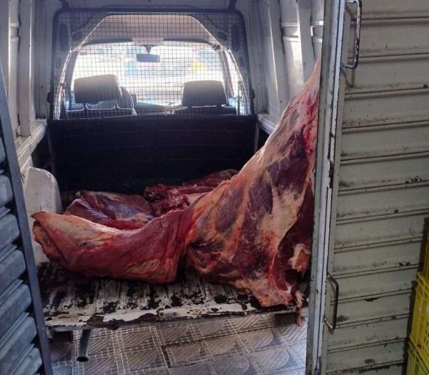 🚔 A CARNE NOSSA DE CADA DIA – Operação integrada fecha açougue e depósito de carnes em Serra Negra por irregularidades sanitárias