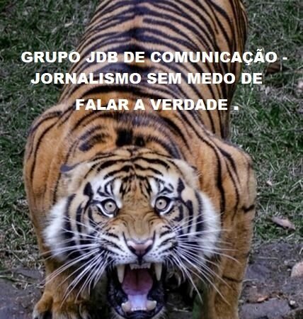 🚨 Tráfico de drogas e captura de procurado em Santo Antônio de Posse 🚨
