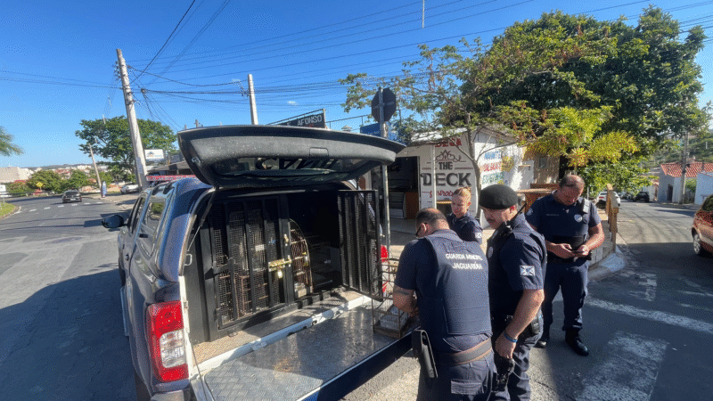 Comerciante é autuado por crime ambiental em Jaguariúna