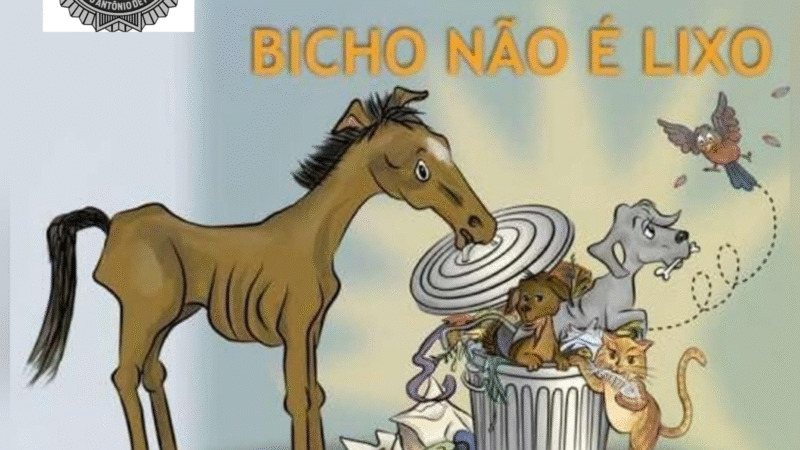 GUARDA CIVIL MUNICIPAL DE SANTO ANTÔNIO DE POSSE ATUA EM CASO DE MAUS-TRATOS A CAVALOS NO BAIRRO RECREIO CAMPESTRE