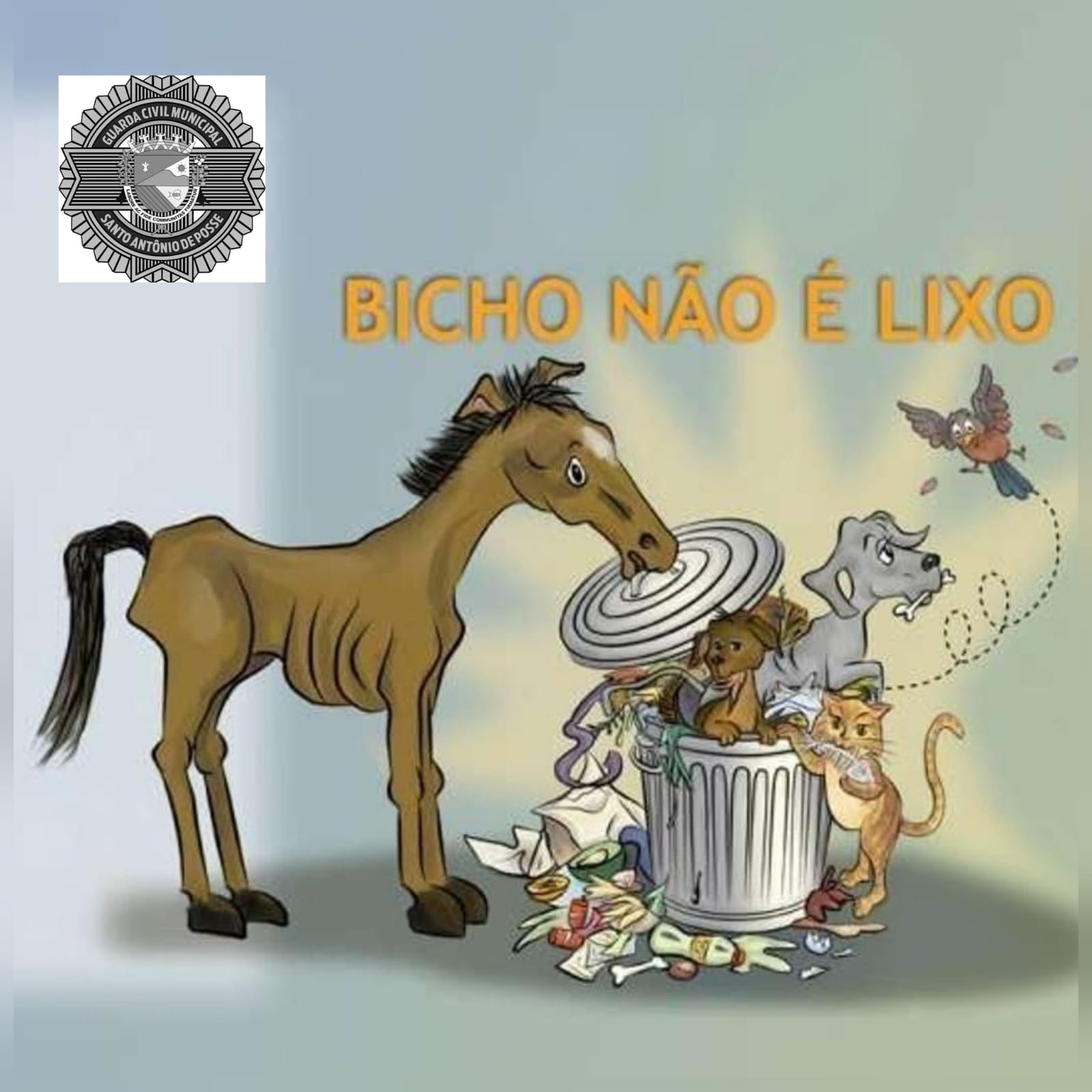 GUARDA CIVIL MUNICIPAL DE SANTO ANTÔNIO DE POSSE ATUA EM CASO DE MAUS-TRATOS A CAVALOS NO BAIRRO RECREIO CAMPESTRE