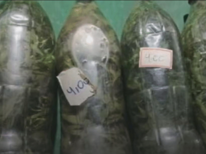 GOIÁS: POLÍCIA APREENDE CACHAÇA COM MACONHA DURANTE OPERAÇÃO CONTRA BEBIDAS ADULTERADAS