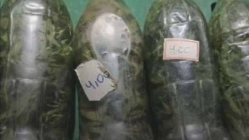 GOIÁS: POLÍCIA APREENDE CACHAÇA COM MACONHA DURANTE OPERAÇÃO CONTRA BEBIDAS ADULTERADAS