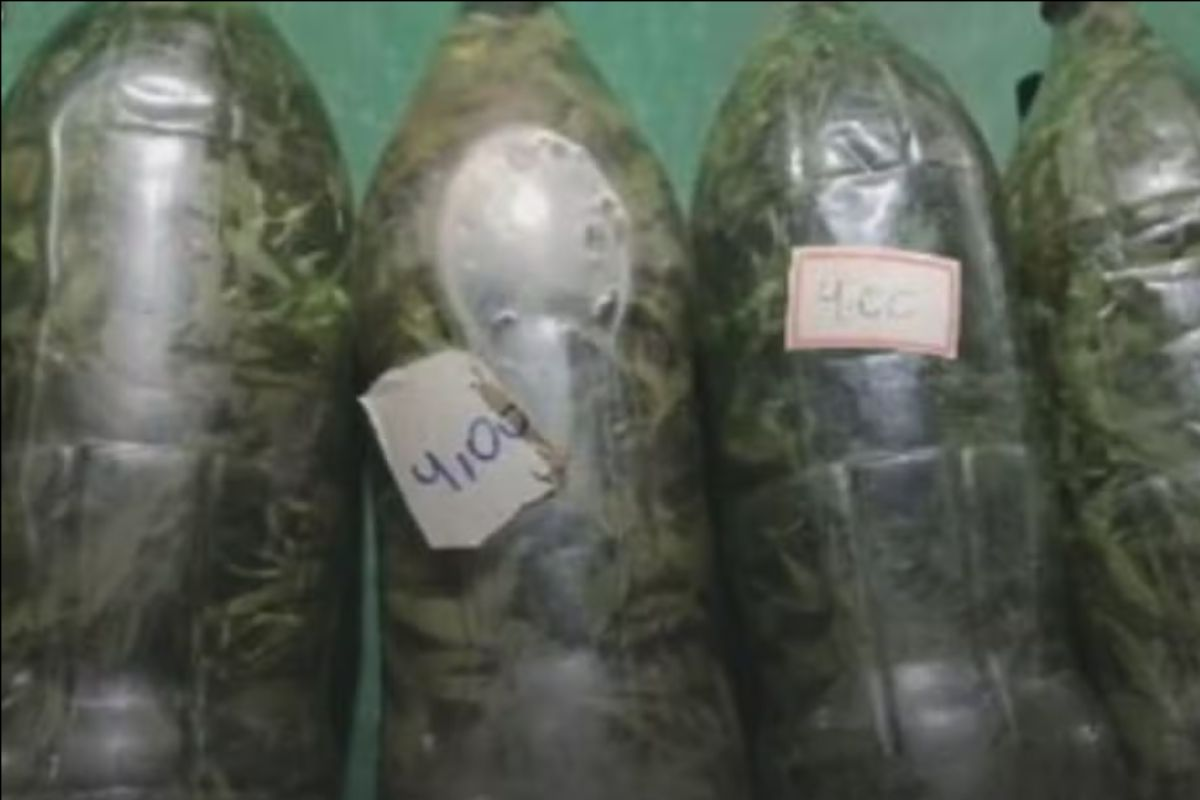 GOIÁS: POLÍCIA APREENDE CACHAÇA COM MACONHA DURANTE OPERAÇÃO CONTRA BEBIDAS ADULTERADAS