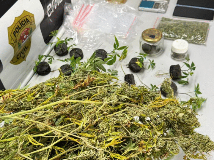🚨 POLÍCIA CIVIL PRENDE HOMEM COM PLANTAÇÃO DE MACONHA EM CHÁCARA DE SUMARÉ DURANTE A OPERAÇÃO “JAMAICA” 🚔