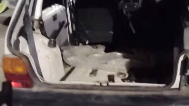 🚨 CENA INACREDITÁVEL EM SILVEIRAS: HOMEM É PRESO TRANSPORTANDO TRÊS VACAS DENTRO DE UM FIAT UNO