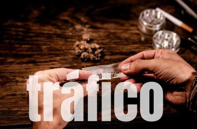 TRÁFICO DE DROGAS: GCM DE JAGUARIÚNA PRENDE SUSPEITO EM AÇÃO RÁPIDA NA RUA LUPORINI