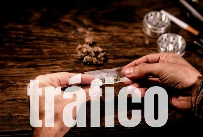 TRÁFICO DE DROGAS: GCM DE JAGUARIÚNA PRENDE SUSPEITO EM AÇÃO RÁPIDA NA RUA LUPORINI