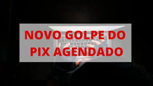 SOCORRO-SP: GCM FLAGRA ESQUEMA DE “PIX AGENDADO” E PRENDE MULHER COM DIVERSAS MERCADORIAS