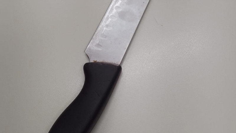 POLÍCIA MILITAR PRENDE SUSPEITO DE VIOLÊNCIA DOMÉSTICA EM MOGI GUAÇU