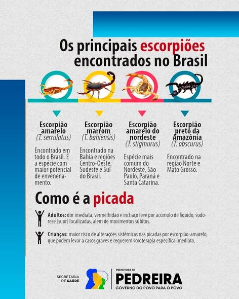 ATENÇÃO REDOBRADA: É ÉPOCA DE ESCORPIÕES!