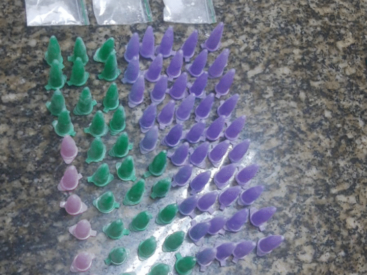 TRÁFICO DE DROGAS É FLAGRADO PELA GUARDA MUNICIPAL EM JAGUARIÚNA