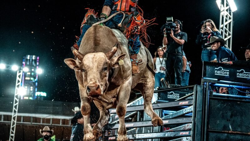 AGUARDEM . ESTA CHEGANDO A MARCA QUE VAI FAZER SUA CABEÇA . JAGUARIÚNA COUNTRY .