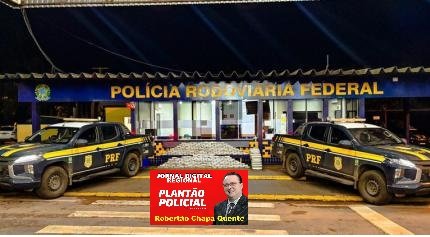PRF PRENDE CAMINHONEIRO COM QUASE 300 QUILOS DE “SUPERMACONHA” QUE TERIA COMO DESTINO AMPARO/SP