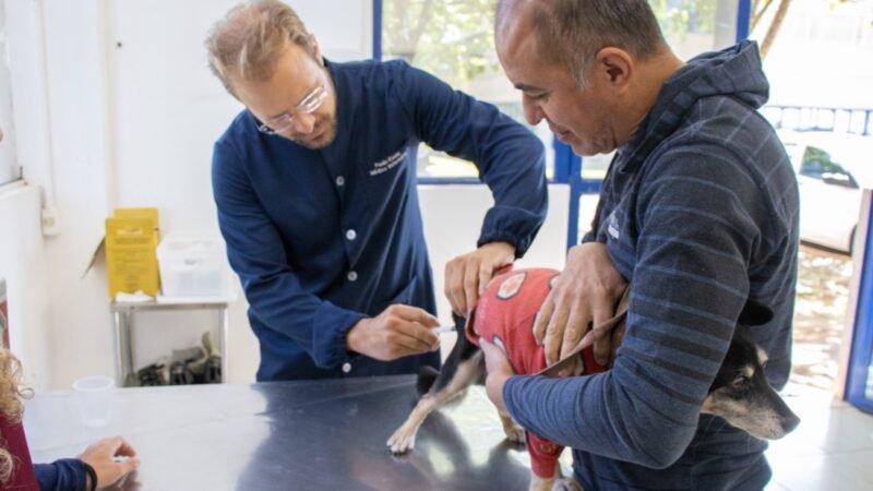 VACINAÇÃO ANTIRRÁBICA: AGENDAMENTO JÁ ESTÁ ABERTO EM JAGUARIÚNA