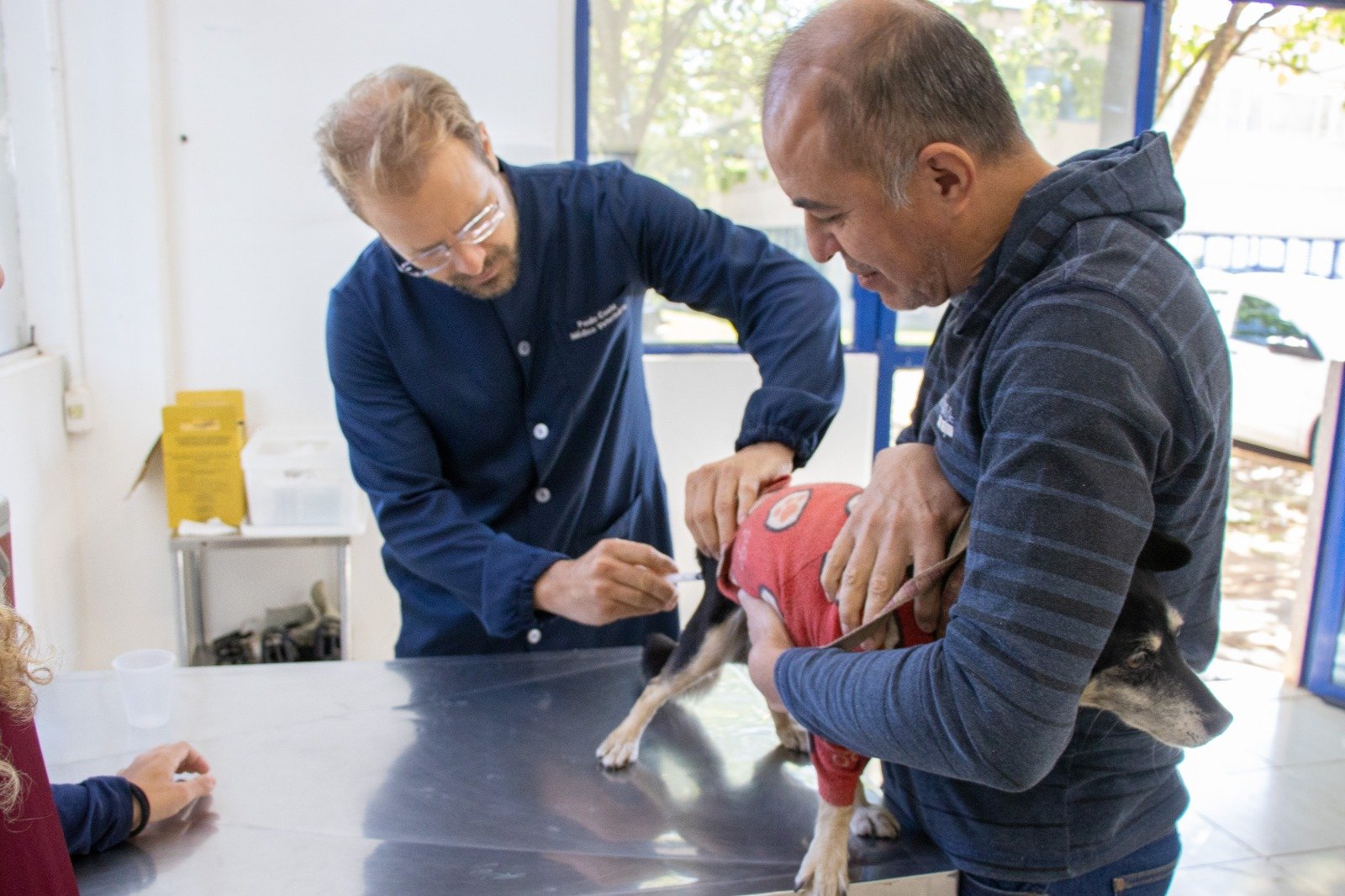 VACINAÇÃO ANTIRRÁBICA: AGENDAMENTO JÁ ESTÁ ABERTO EM JAGUARIÚNA