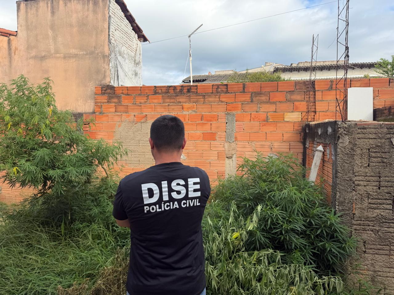 SÉRIE – A SEMENTE DA ERVA – POLÍCIA CIVIL PRENDE HOMEM EM FLAGRANTE POR TRÁFICO DE DROGAS EM MOGI GUAÇU …..