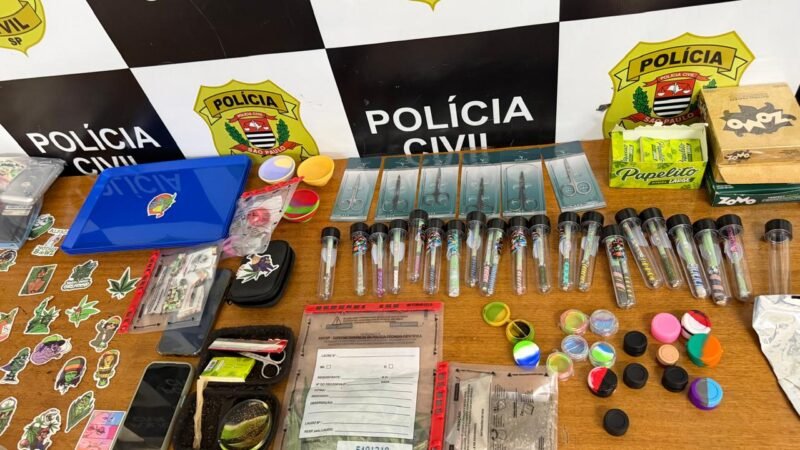 🚨 OPERAÇÃO DA DISE DESMANTELA PLANTAÇÃO  DE MACONHA EM SANTO ANTONIO DE POSSE.