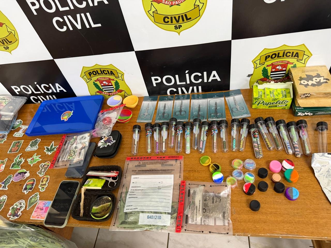 🚨 OPERAÇÃO DA DISE DESMANTELA PLANTAÇÃO  DE MACONHA EM SANTO ANTONIO DE POSSE.