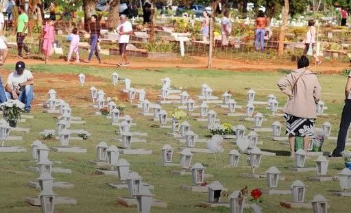 Governo de SP autoriza enterro de cães e gatos em jazigos familiares