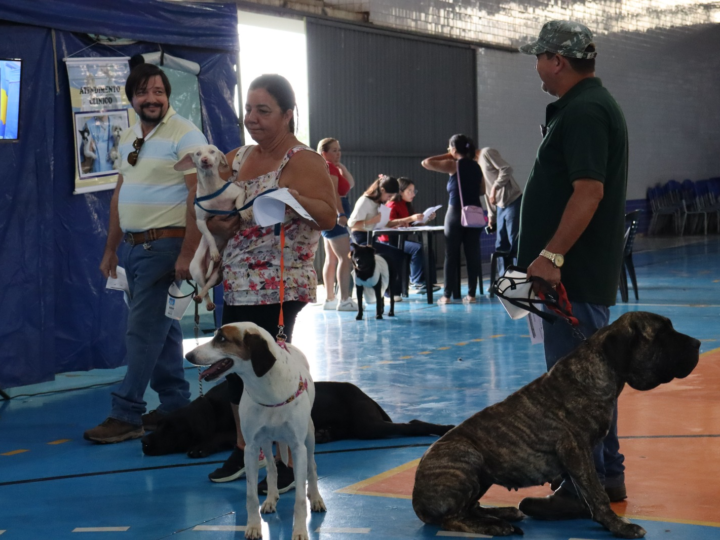 Castramóvel realiza 80 castrações gratuitas de cães e gatos em Santo Antônio de Posse