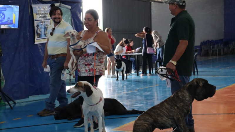 Castramóvel realiza 80 castrações gratuitas de cães e gatos em Santo Antônio de Posse
