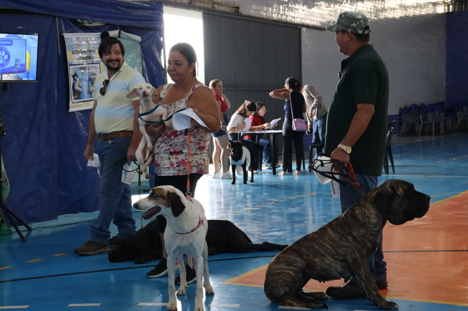 Castramóvel realiza 80 castrações gratuitas de cães e gatos em Santo Antônio de Posse