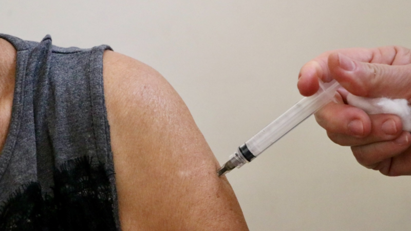 Holambra inicia campanha de vacinação contra a gripe neste sábado com o Dia D