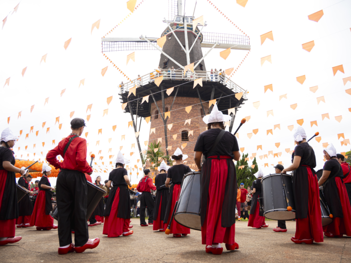 POLÍCIA MILITAR APREENDE 16 KG DE DROGAS E PRENDE SUSPEITO EM PEDREIRA