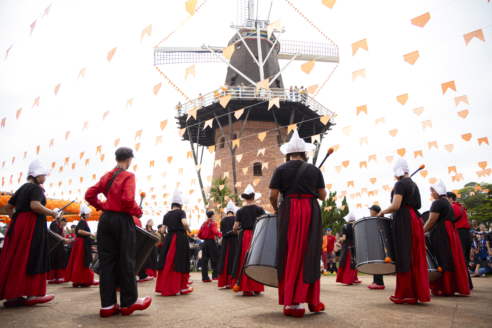 POLÍCIA MILITAR APREENDE 16 KG DE DROGAS E PRENDE SUSPEITO EM PEDREIRA