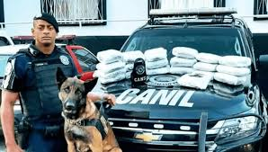 GUARDA MUNICIPAL É PRESO SOB SUSPEITA DE LIGAÇÃO COM FACÇÕES E VENDA DE ARMAS EM INDAIATUBA