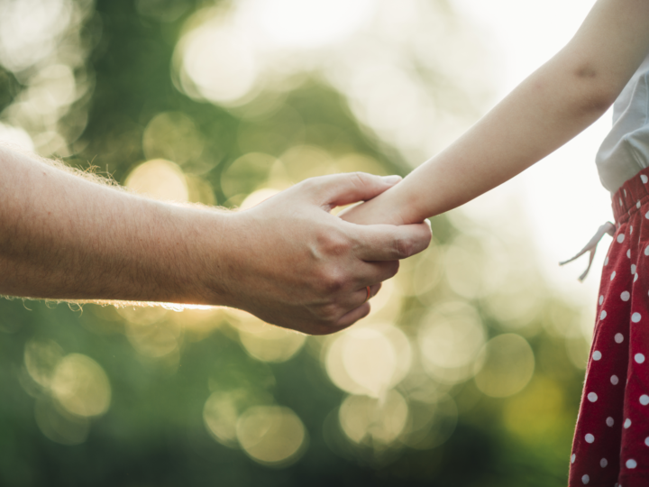 Holambra inicia processo eletivo para novo Conselheiro Tutelar  e suplentes