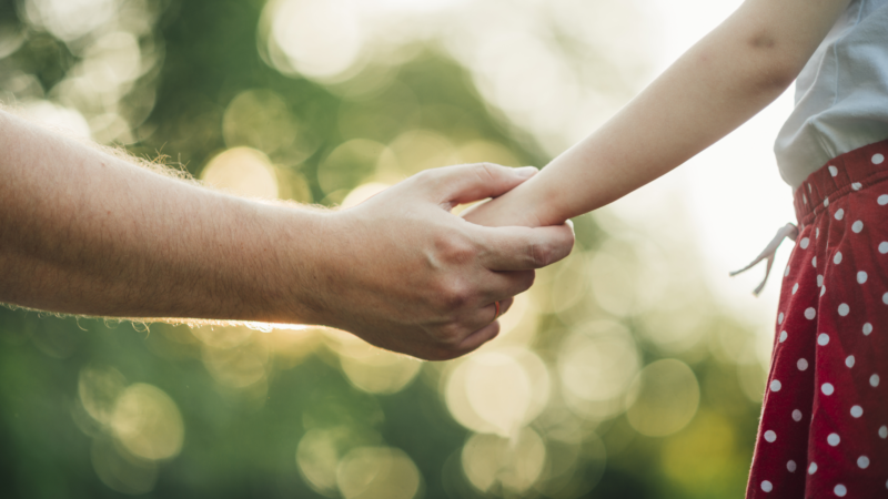 Holambra inicia processo eletivo para novo Conselheiro Tutelar  e suplentes