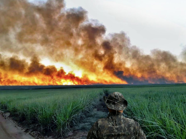 Polícia Militar Ambiental intensifica fiscalização contra queimadas em todo o estado de SP