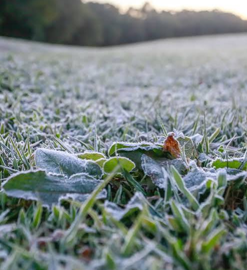 FRENTE FRIA AVANÇA PELO BRASIL E DEVE PROVOCAR QUEDA ACENTUADA DE TEMPERATURA